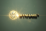 WYNFLARE 3D Bold Logo